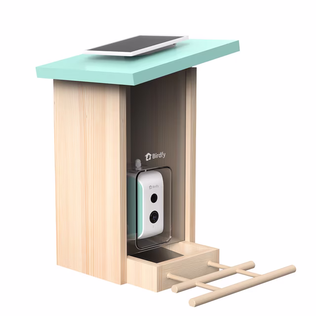 BIRD-FEEDER-CAMERA_42823596-96f0-4195-a69d-b8a420b67780.f5b132ccc89ed43ab0399343c03b0ea4